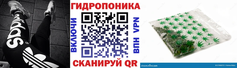 Канабис THC 21%  купить закладку  Ахтырский 